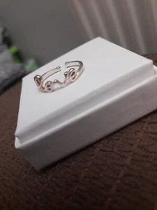 Anillo de amor pequeño de plata de ley - Imagen 1 de 2