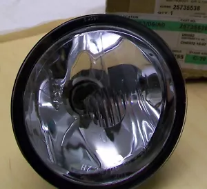 25735538 GM genuine OE front fog lamp Pontiac Aztec Bonneville TranSport NOS - Picture 1 of 1