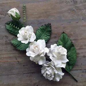 Marion Smith, Flowers, Paper Flowers, Inkable, Rose Vine, White, Sprig of Roses - Picture 1 of 3