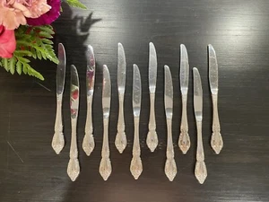 RAPHAEL Distinction Deluxe Stainless Oneida Flatware Silverware Dinner Knife - Picture 1 of 4