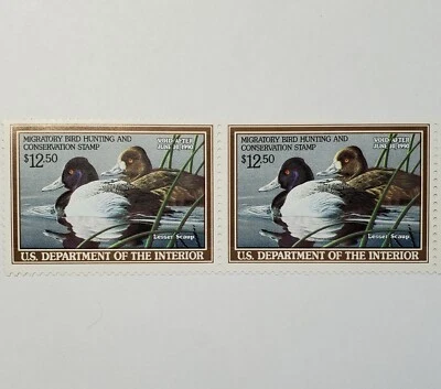 US Federal Duck Hunting Stamp Mint No Hinge Scott# RW56  - Imagem 1 de 4