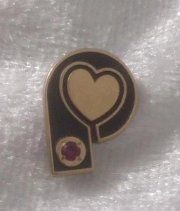 Phoebe Putney Memorial Hospital DORADO CTO Servicio Pin Solapa Tie Tack 1/5 Oro 10K - Imagen 1 de 4