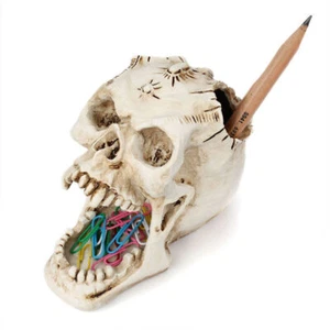 Head Bone Model Skull Pen Holder Desk Top Decorate - Picture 1 of 11