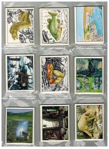 WWF Natura da Salvare Lotto 206 Figurine Panini - Picture 1 of 1