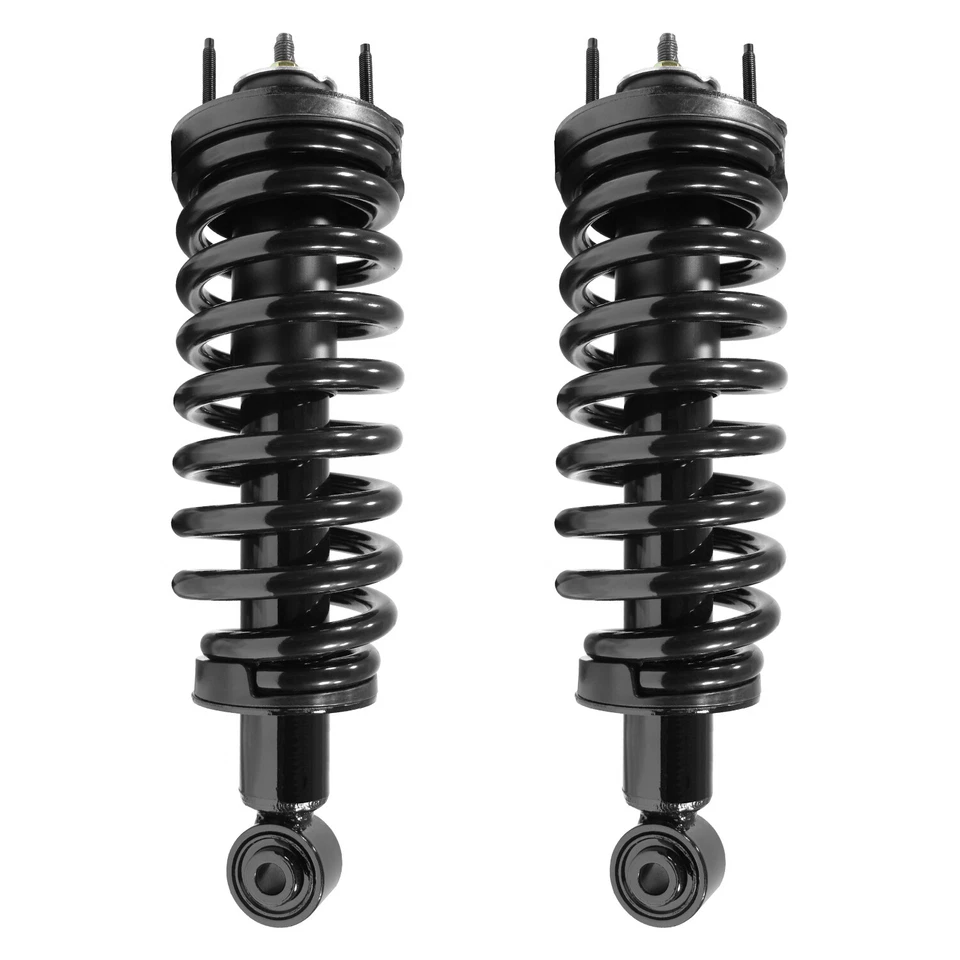 Front Pair Suspension Strut & Coil Spring Kit for Ford Lincoln Mercury RWD - Image 1 of 1