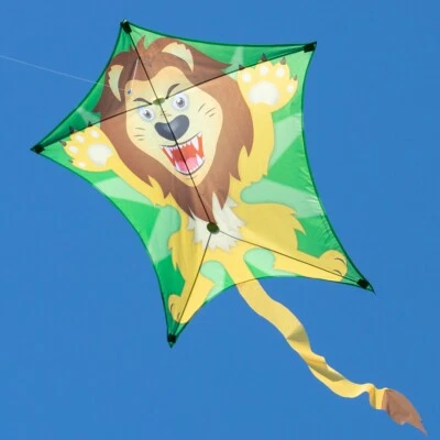 CIM Drachen Penta Löwe 167cm x 102cm Einleiner Flugdrachen Kinder Drachenschnur - Bild 1 von 3