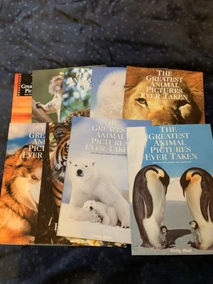 Daily Mail Collectible Wildlife Photography Booklets / Magazines Bundle - Image 1 of 4