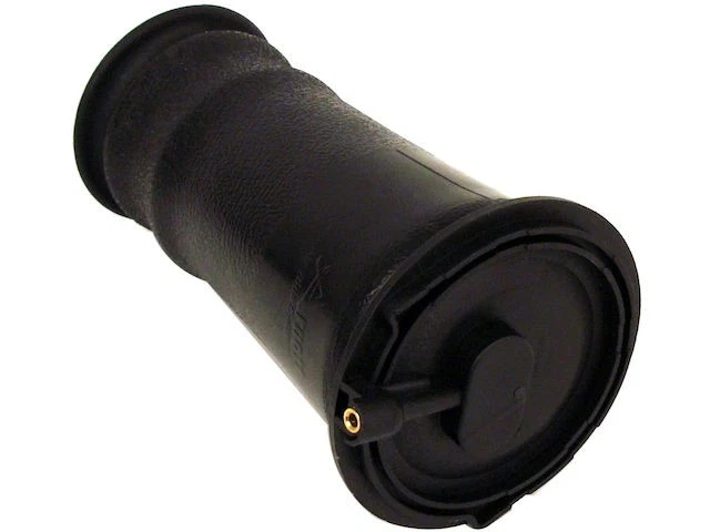 Muelle neumático trasero Arnott 61ZB43B para Land Rover Range Rover SE 1995-2002 Foto 1 de 1