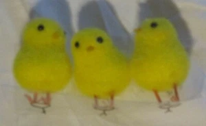 New Shurman Retail Group Tabletop Decor 3 Yellow Chicks Chickens In Box - Picture 1 of 7