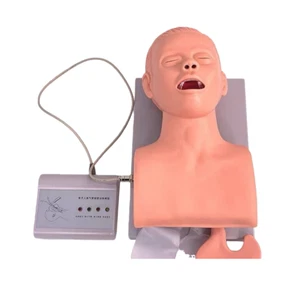 Intubation Manikin Study Teaching Model Electronic Airway Management Trainer New - Picture 1 of 11