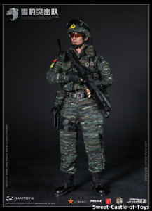 1/6 DAMTOYS 78052 Chinese Armed Force Snow Leopard Commando Unit Team In Stock