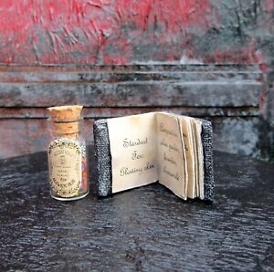 SET Dollhouse miniature Halloween Book and Potion Witch fairy accessory 1/12 1/6