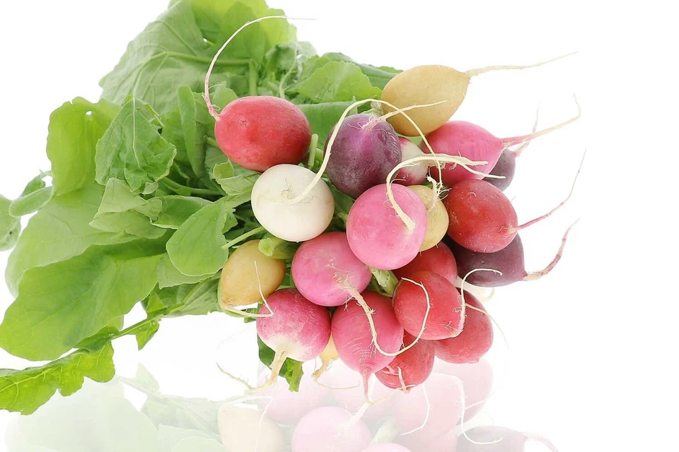 Graine de radis multicolore Mélanges 50 Graines - Photo 1/1