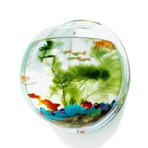 Acrylic Fish Bowl Wall Hanging Aquarium Tank Aquatic Wall Mount Fish Tank New - Picture 1 of 21