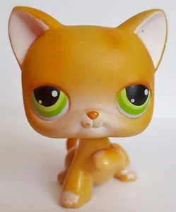 Littlest Pet Shop Cat Shorthair #11 Orange With Green Eyes Rare Paw Up - Picture 1 of 2