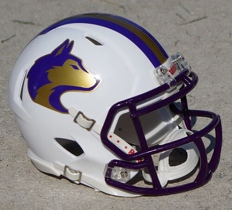 WASHINGTON HUSKIES CONCEPT WHITE FOOTBALL MINI HELMET Cover