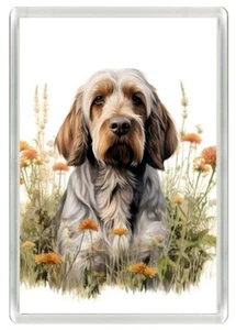 ITALIAN SPINONE DOG FLOWERS ART PRINT NOVELTY FRIDGE MAGNET GREAT GIFT - Picture 1 of 1