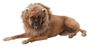 King of the Jungle Lion Mane Animal Fancy Dress Halloween Pet Dog Cat Costume - Picture 1 of 10