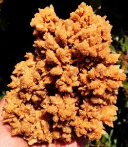 660g TOP!!! Neuer Fund rohe natürliche braune Jiejingshi Kristall Proben ip1282 - Bild 1 von 12