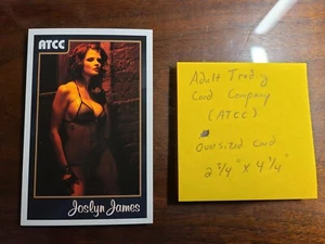 JOSLYN JAMES ADULT TRADING CARD COMPANY (ATTC) 2011 oversized - Picture 1 of 2