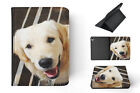 Case Cover For Apple Ipad|golden Retriever Dog 12