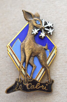 Insigne Vintage Médaille De Ski – Broche En Métal Fabriquée En France – Lot De 1