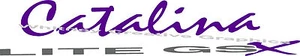 CATALINA LITE GSX LITE RV LOGO GRAPHIC DECAL MADE FRESH! You Get Two - Bild 1 von 1