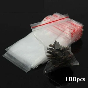 100 BOLSAS AUTOCIERRE 20 x 33 CM PLASTICO CON AUTOCIERRE CREMALLERA - Imagen 1 de 1