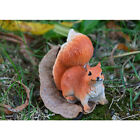 Realistic Squirrel for Home Garden Lawn Decoration