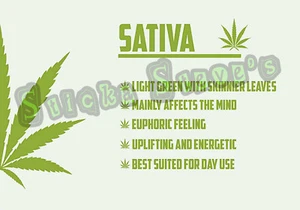 420 Sativa Weed Cannabis Light Green High Times Kush Vinyl Sticker Decals - Picture 1 of 2