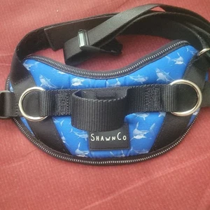 Arnés Shawn Co Essential para perros talla pequeña azul - Imagen 1 de 3