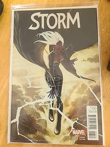 Storm 2014 #3 Stephanie Hans Variant - Picture 1 of 9