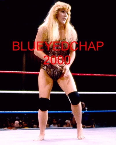 VELVET McINTYRE CHICA LUCHADORA 8 X 10 FOTO DE LUCHA LIBRE AWA WWF Foto 1 de 1