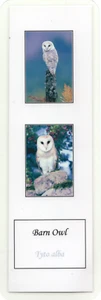Barn OWL Bookmark Birds of Prey Nature Photo Animal Lover Gift x Woman Him Her - Imagen 1 de 4