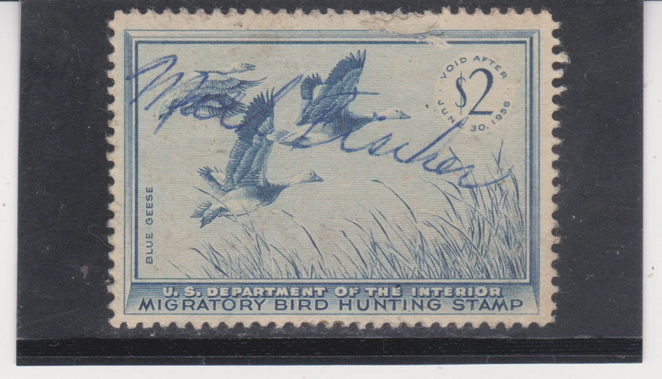 Scott # RW22 Used 1955 $2  Hunting Permit Stamp  Cat $15 with original Gum Flaw - Image 1 of 1
