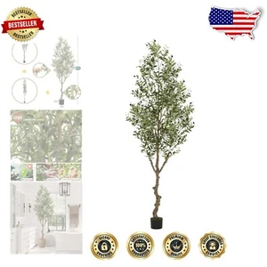 Premium Quality Potted 8ft Olive Tree with Bendable Branches - No Maintenance - Picture 1 of 11