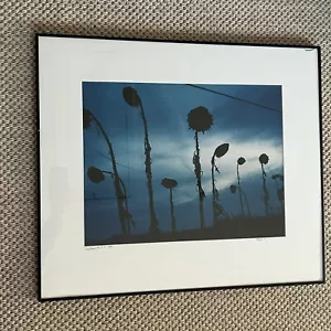 Tulla Booth Signed Photograph Print Lithograph “Sunflower Field 1” Night View - Picture 1 of 17