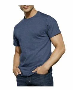 FRUIT OF THE LOOM T-Shirts  Men's S 34-36  NWT  Crewneck 4-pk Tees  Blue/Gray - Picture 1 of 5