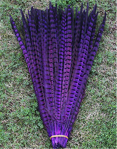 DYED ENGLISH RINGNECK Pheasant Feathers 20-26" MANY COLORS! Costume/Hats/Craft - Image 1 of 1