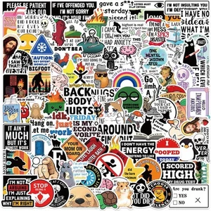 Funny Stickers for Adults Dirty Meme Stickers 100PCS Water Bottles Stickers Pack - Picture 1 of 7