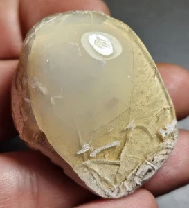Almeja fósil opalizada de Coober Pedy ópalo fósil espécimen lapidario 102 quilates - Imagen 1 de 15