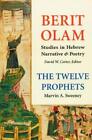 Marvin A Sweeney Berit Olam: The Twelve Prophets (Paperback) Berit Olam