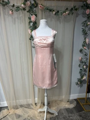 Nuevo con etiquetas Vestido Corto Rosa Satinado Corsé Espalda Talla: 10 Mediano  Foto 1 de 2