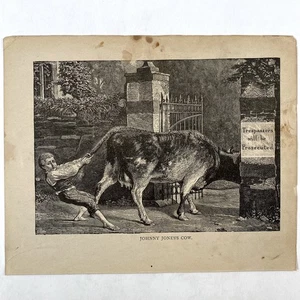 Antik 1879 Gravur Johnny Jones’s Cow Old 1800’s Art Farmer Boy Trespassers - Bild 1 von 3