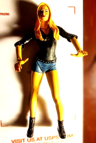 WWE JAKKS LIMITED STACY KEIBLER WRESTLING FIGURE IN EXCELLENT USED CONDITION Cover