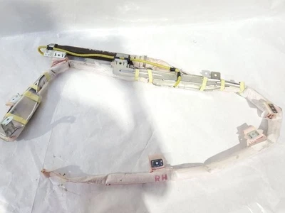 2007 2008 年 2009 年丰田苔原原始设备制造商一对左右车顶窗帘袋 — 第 1/4 张图片