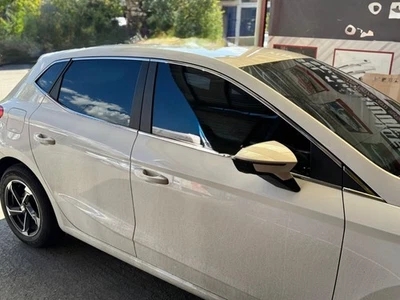 Marco de ventana cromado para Seat Ibiza 2017+ 12 piezas Foto 1 de 4