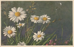 meran 1948 ausstellung internationale philatelistische tagung - Bild 1 von 2