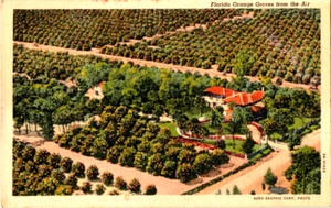 Florida Orange Groves Postkarte - Bild 1 von 2