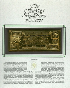 Billete de oro de 22 quilates Belice 1981 - HIBISCO - RARO - Imagen 1 de 1